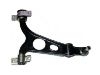 Control Arm:60652466